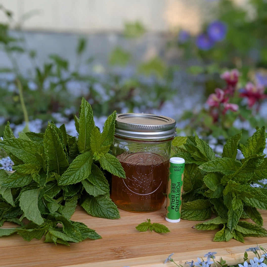 Oregon Mint Beeswax Lip Balm – Refreshing