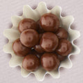 Hazelnut Hill - Milk or Dark Chocolate-Covered Hazelnuts - Dark