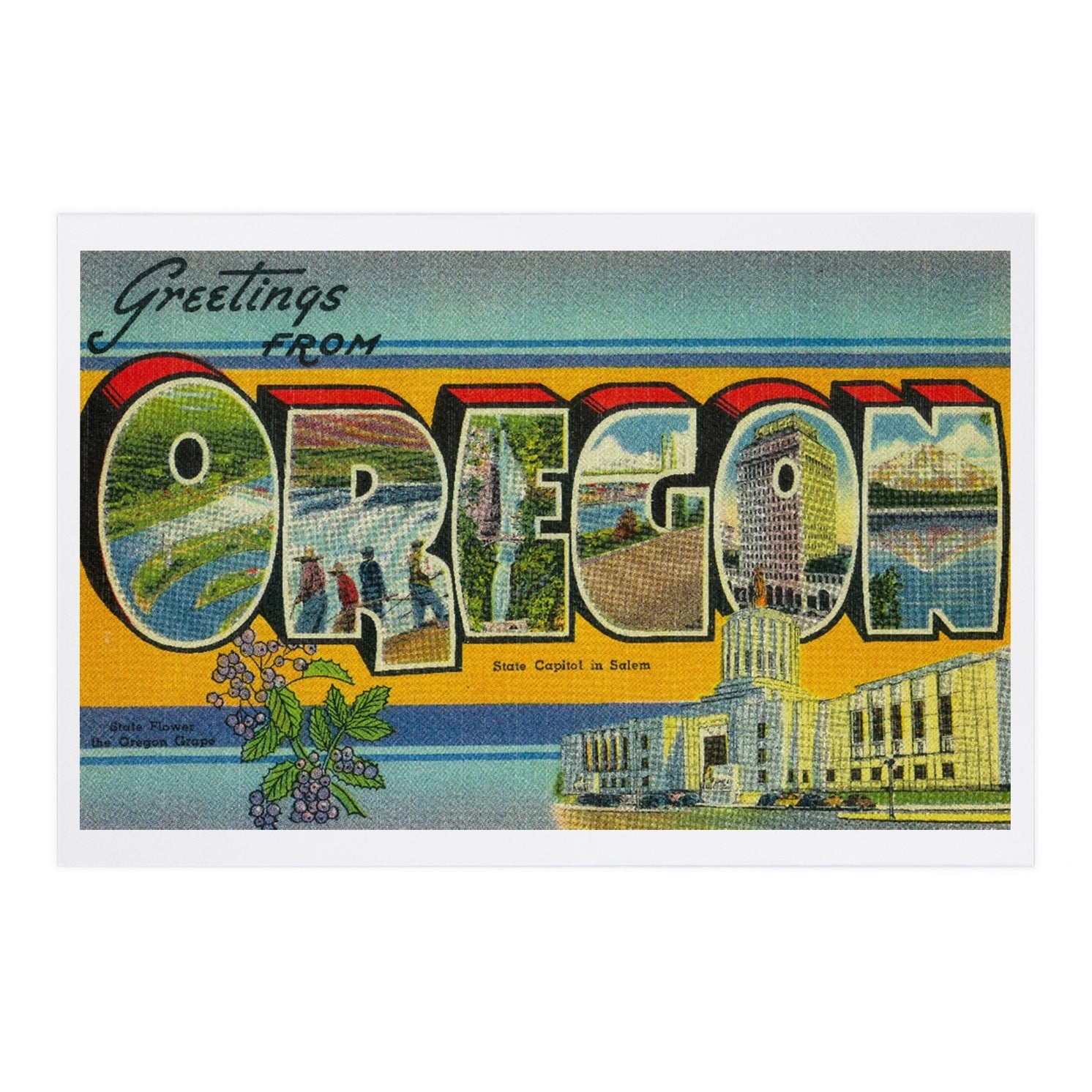 Premium Postcards Greetings from Oregon