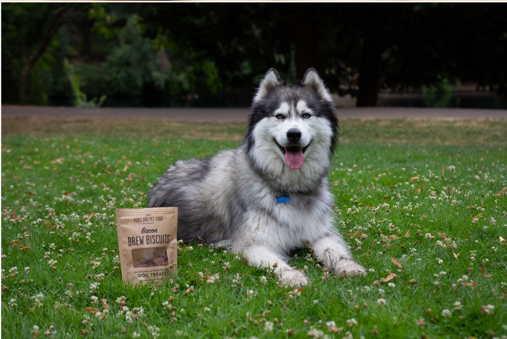 Bacon Brew Dog Biscuits