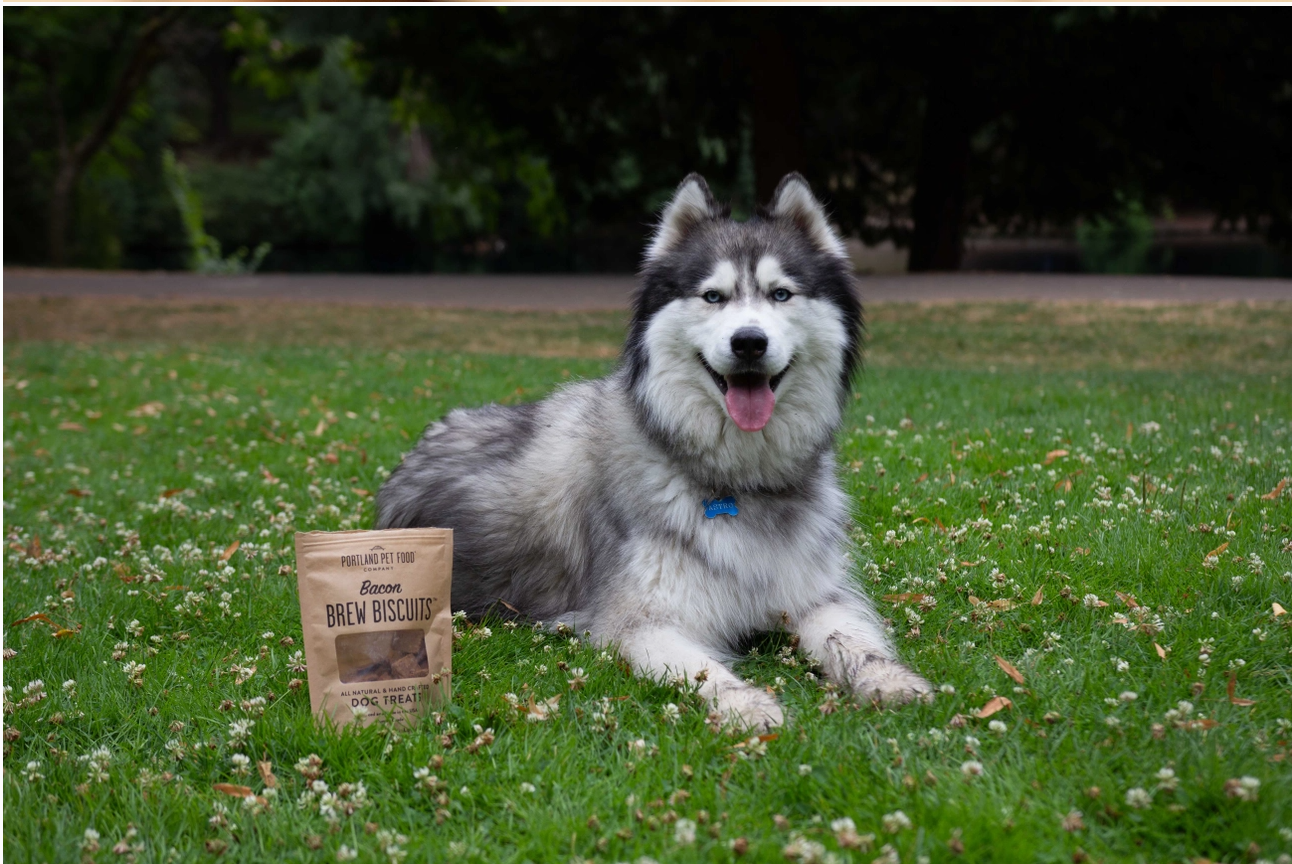 Bacon Brew Dog Biscuits