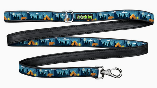 Blue Camping Dog Leash