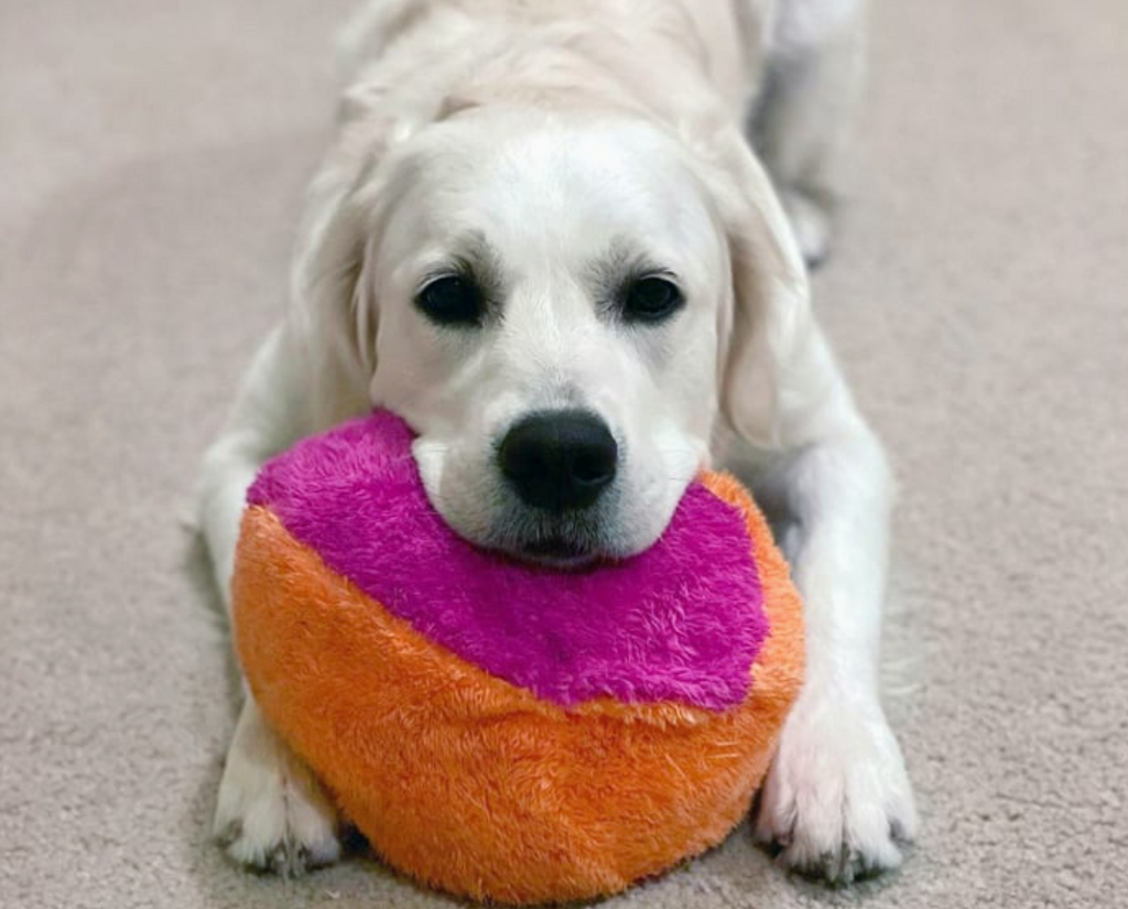 Duraplush Fuzzball Dog Toy