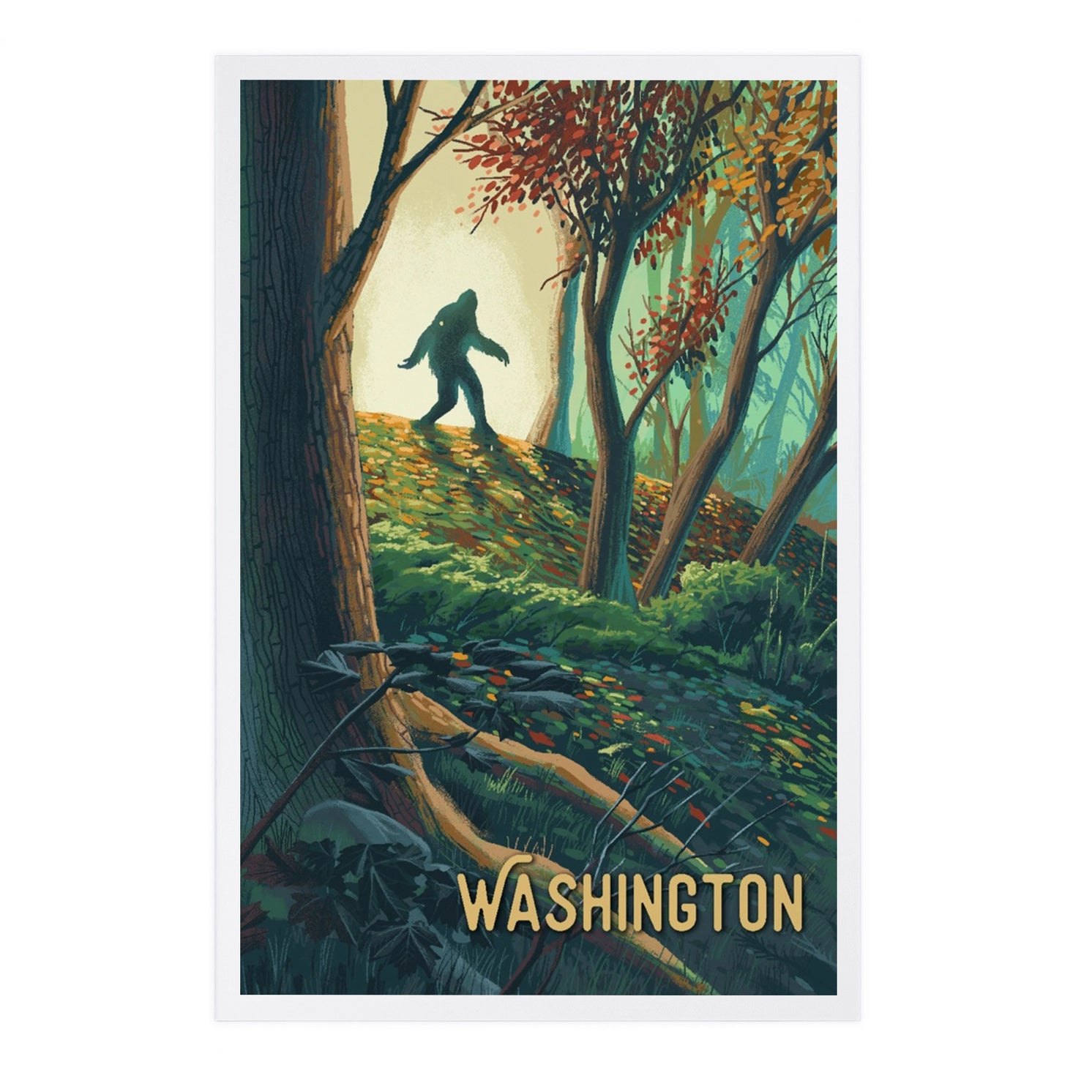 Premium Postcards Washington, Wanderer, Bigfoot in Forest